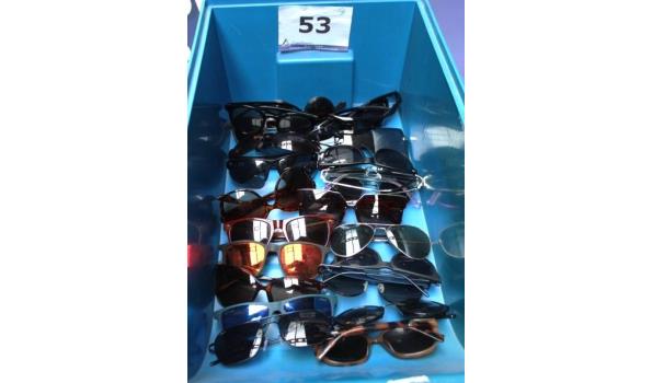 24 div zonnebrillen, zonder de pvc bak